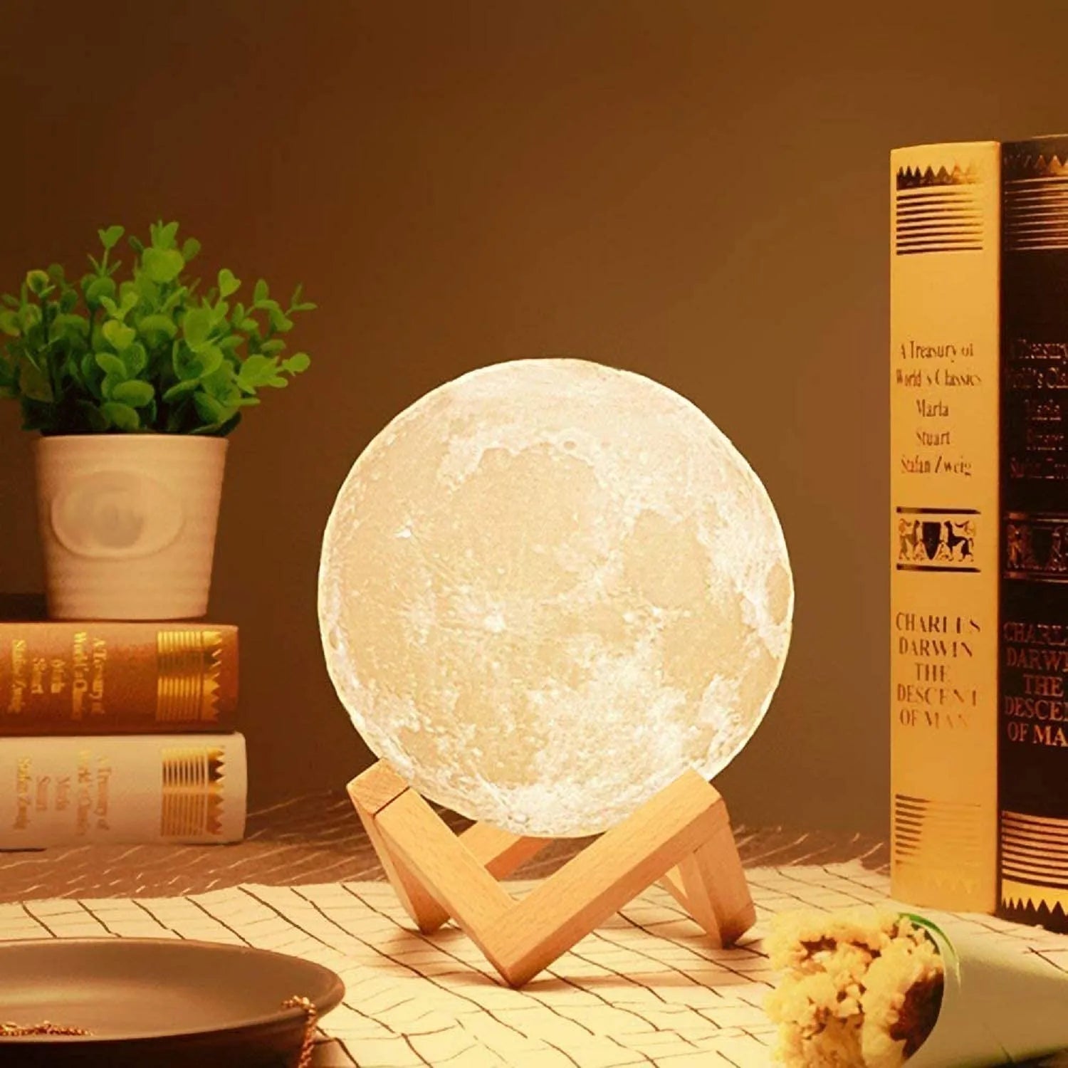Moon Lamp Stand